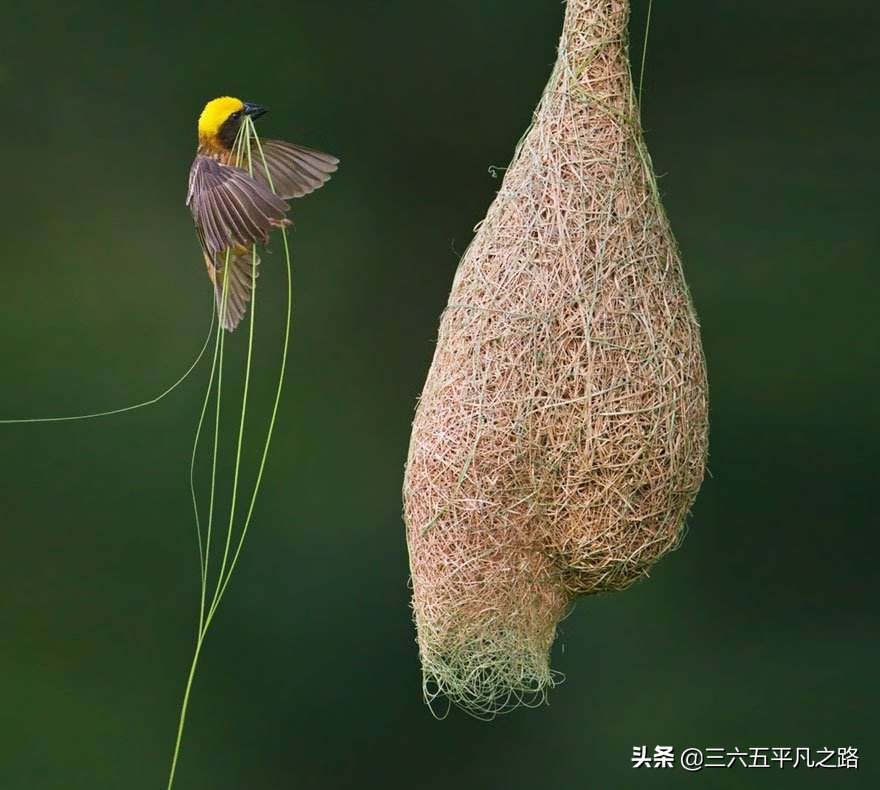 今日特码科普！后天电影高清免费观看完整版,百科词条爱好_2024最快更新