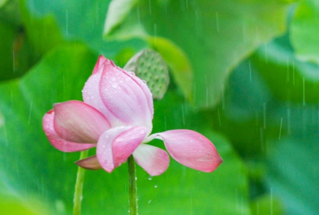 今日特码科普！风雨改革路扬帆再起航,百科词条爱好_2024最快更新